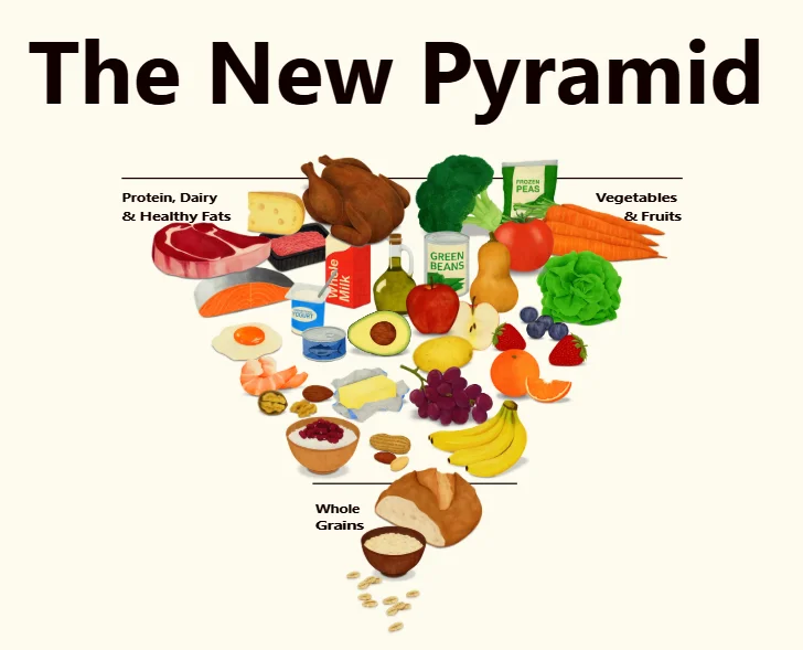 สงครามการค้า โภชนาการ และการเมือง ในปิรามิดอาหารอเมริกัน 2026